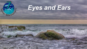 Please click to watch the video now