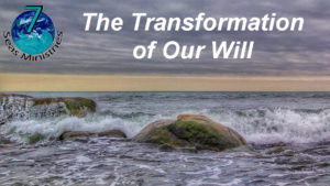 Please click to watch the video now.