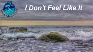 Please click to watch the video now