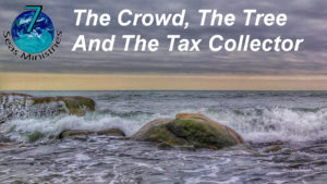 Please click to watch the video now.