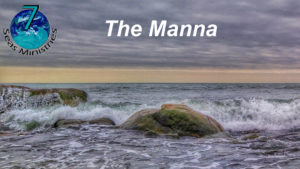 Please click to watch the video now.