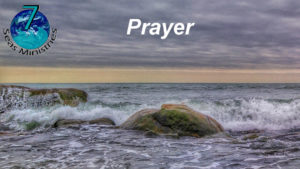 Please click to watch the video now.