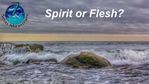 Please click to watch the video now.