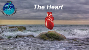 The Heart - Please click to watch the video now.