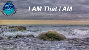 Please click to watch the video now.