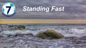 Please click to watch the video now.