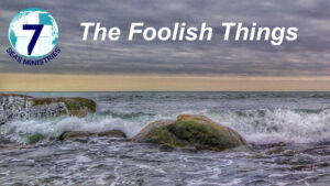 Please click to watch the video now.