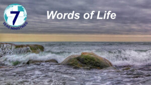 Please click to watch the video now.