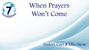 Please click to watch the video now.