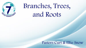 Please click to watch the video now.