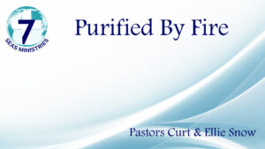 Please click to watch the video now.